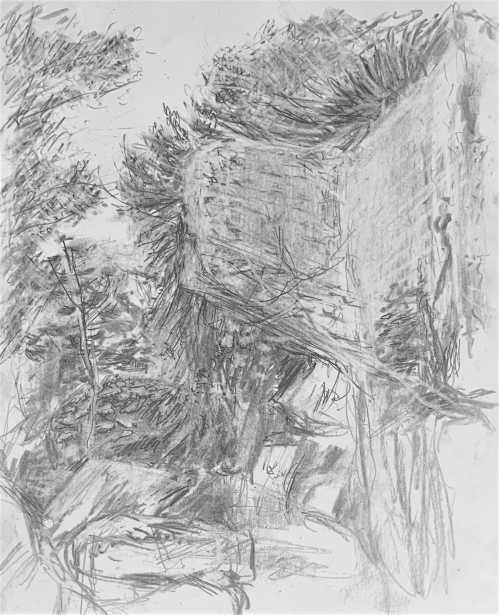 Cave di Cusa - Selinunte - Sicilia